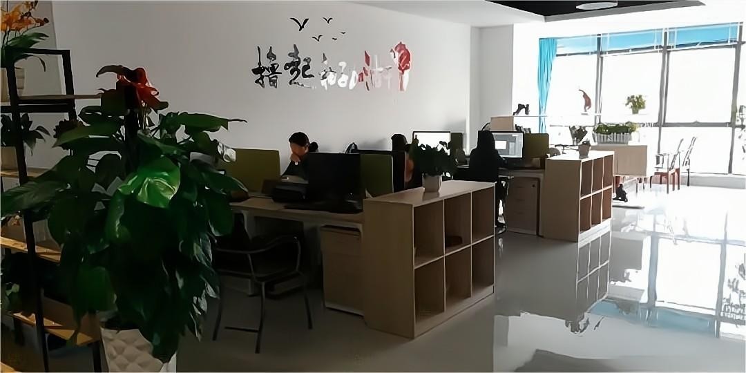 公司環(huán)境
